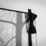 Nunta Cristi si Miruna-5